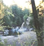 Austin Creek