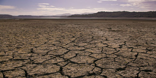 Dry River Bed in Sonoma County