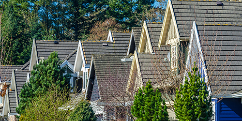 Homes in a Neighborhood