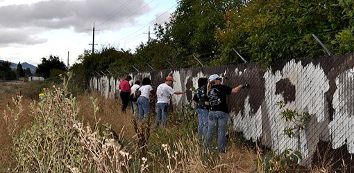 Volunteer painters