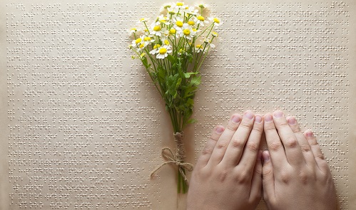 Reading Braille with Wildflowers 500