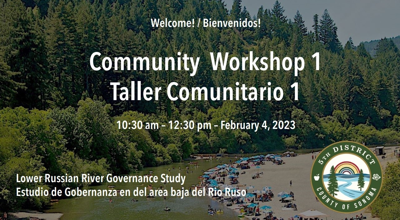 Workshop 1 Presentation