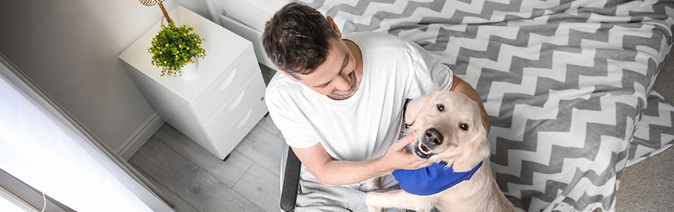 Man in wheelchair with Dog