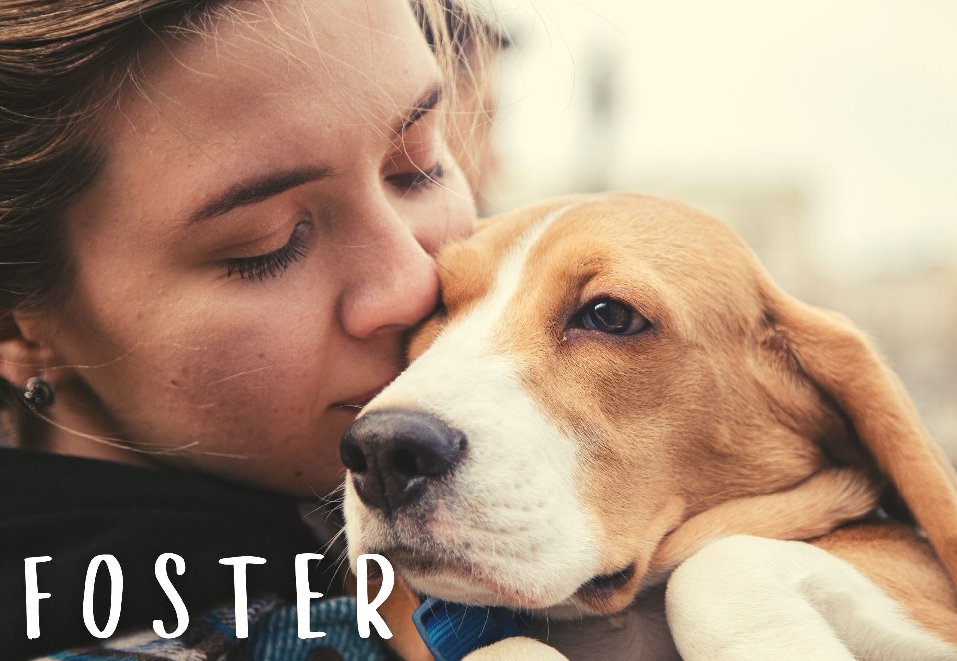 person holding and kissing dog 