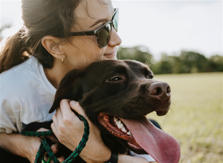 Girl hugging chocolate lab dog