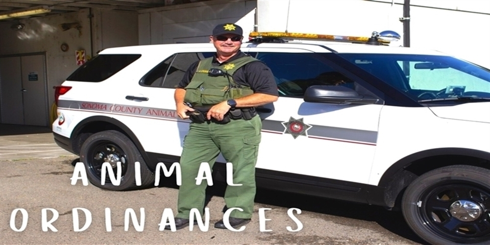 animal control officer standing in front of truck