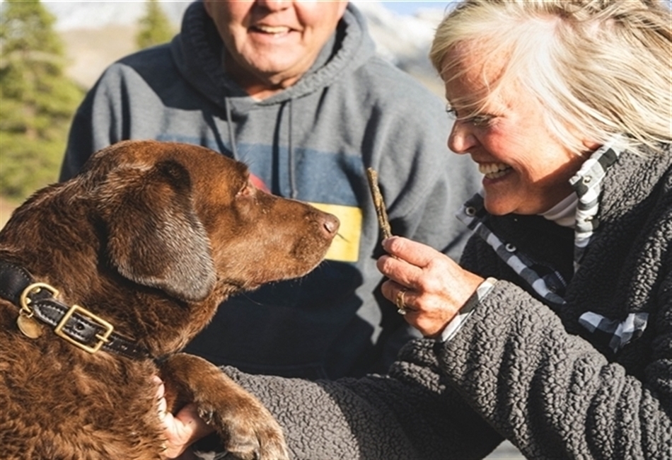 Person giving treat to dog 