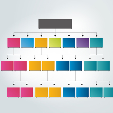 Organizational Chart